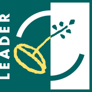 logo-LEADER_big